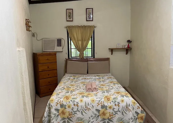 Appartement Carcar